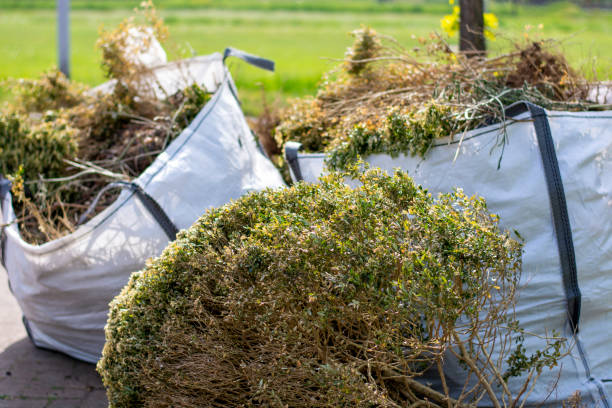 Best Affordable Junk Removal Services  in Pine Mountain Lake, CA